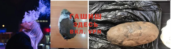 тгк Гусев