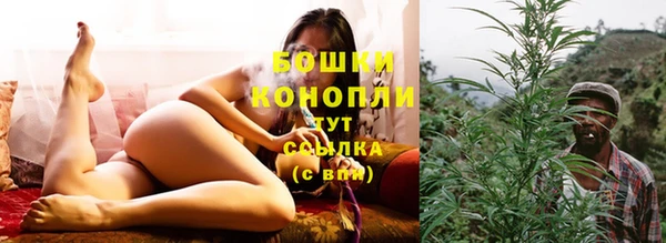 меф Вяземский