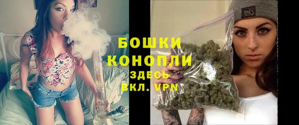 меф Вяземский