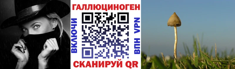 магазин продажи   Давлеканово  это формула  Галлюциногенные грибы Psilocybe 